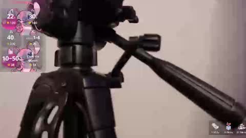 Lily online show from November 7, 3:50 am