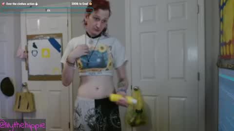 Snapshot of lilythehippie chatting on April 28, 2:27 am lilythehippie online show from April 28, 2:27 am