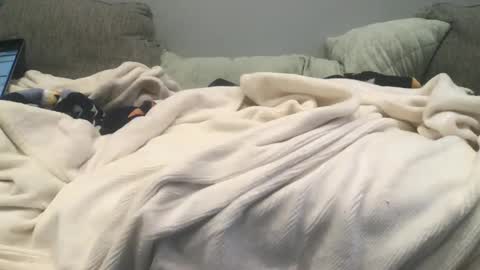 Snapshot of lingeriesissy12 chatting on February 13, 11:04 pm lingeriesissy12 online show from February 13, 11:04 pm