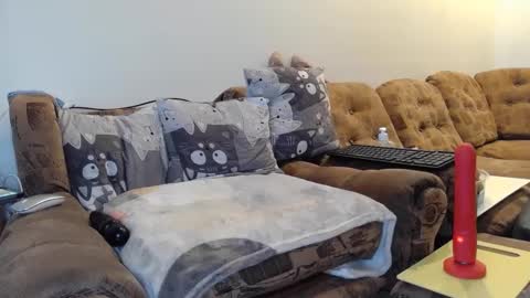 Snapshot of litisialove455 chatting on January 31, 9:27 am litisialove455 online show from January 31, 9:27 am