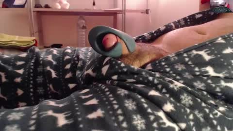 litlediky online show from December 21, 6:41 am