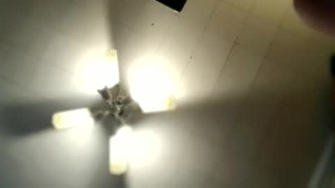 littlelonelylenny online show from March 6, 9:17 am