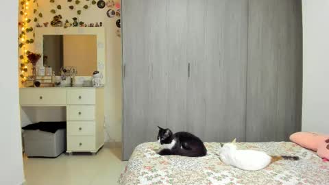 Luna online show from March 29, 10:21 pm