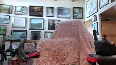 Miss D   Shows Mon Wed  Fri online show from April 13, 7:19 pm