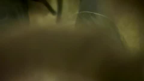 Little Tj online show from April 6, 4:57 am