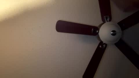 selffuck online show from August 2, 8:46 am