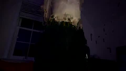 Snapshot of lofi_boi_ chatting on November 17, 3:23 am Lofi Boi online show from November 17, 3:23 am