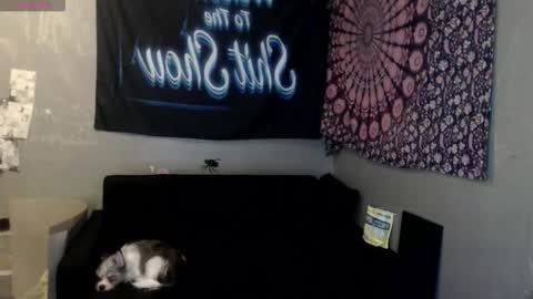 Snapshot of londonray chatting on October 8, 6:11 am londonray online show from October 8, 6:11 am