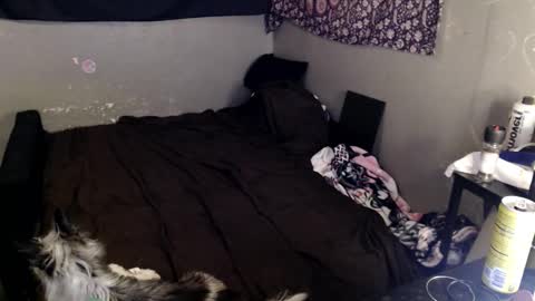 londonray online show from March 8, 8:23 pm