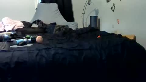 lonelydick2222 online show from May 25, 1:28 pm