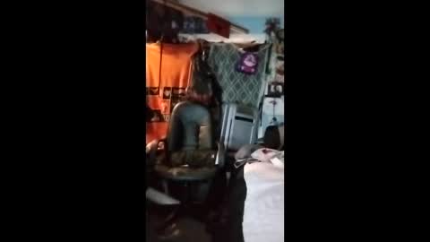 Mr. FogoDeChao online show from February 3, 6:46 pm