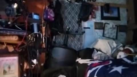 Mr. FogoDeChao online show from March 11, 11:38 am