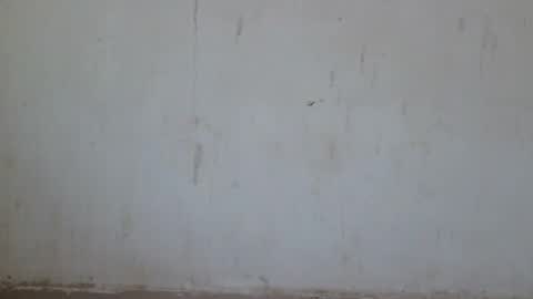Snapshot of loraa_baby chatting on June 28, 12:49 am Loraa online show from June 28, 12:49 am