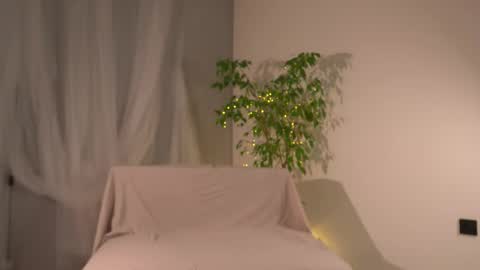 Lorrie online show from November 23, 7:41 am