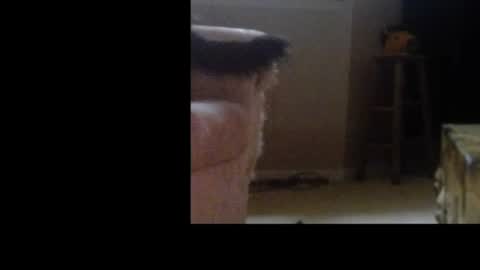 love69bush online show from February 4, 6:30 am