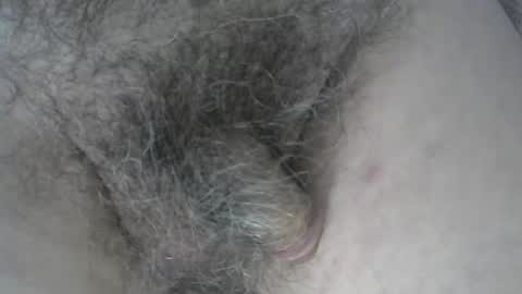 Snapshot of loveabush49 chatting on November 5, 8:53 pm loveabush49 online show from November 5, 8:53 pm