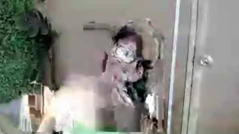 kimmy online show from July 13, 7:33 am
