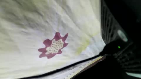 Snapshot of lovelypinay2 chatting on February 5, 3:34 am lovelypinay2 online show from February 5, 3:34 am