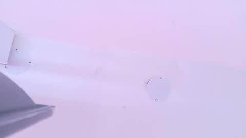 L O V E  online show from March 13, 11:39 am