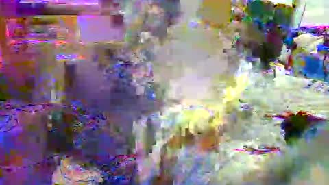 lu25humiliation online show from October 21, 6:52 pm