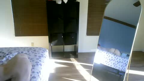 Snapshot of luchamuscles chatting on December 5, 10:01 pm luchamuscles online show from December 5, 10:01 pm