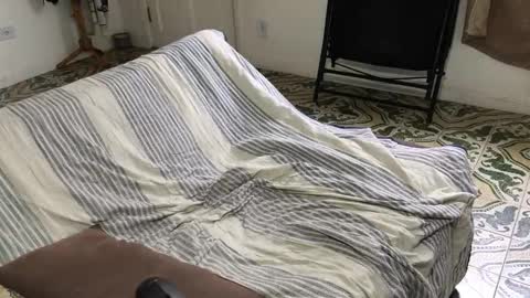 lucifer_curious online show from November 8, 4:18 pm