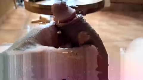 lucky_og24 online show from December 27, 10:37 pm