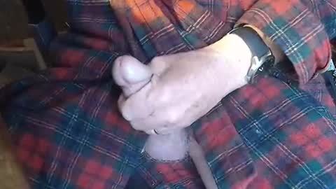 BIG Daddy cock. Tips make it harder  online show from May 23, 9:24 am