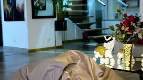 Lukhas f4f online show from January 20, 3:48 am