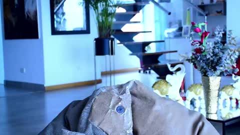 Lukhas f4f online show from February 26, 3:41 pm