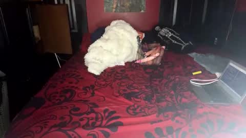 Snapshot of lulu_only_fans chatting on February 14, 4:09 pm Lulu online show from February 14, 4:09 pm