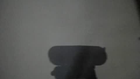 Snapshot of lumineverligth chatting on June 25, 3:06 am Emily online show from June 25, 3:06 am