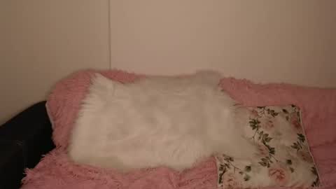 Luna online show from February 13, 6:15 pm