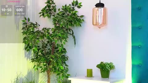 Luna online show from November 26, 6:14 am