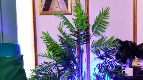 Luna online show from February 20, 6:37 am