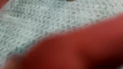 Snapshot of lust_4_daze chatting on February 20, 12:49 pm lust_4_daze online show from February 20, 12:49 pm