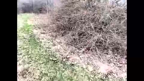 ma747047 online show from April 6, 11:22 am