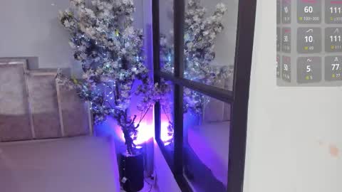 Maraacooper online show from November 4, 11:48 pm