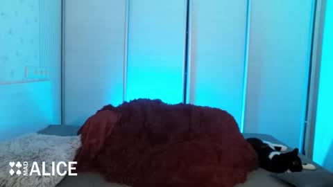 Snapshot of madalicexxx chatting on November 2, 5:37 pm Alice online show from November 2, 5:37 pm