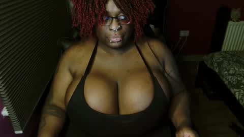 Echidna online show from November 26, 5:03 pm