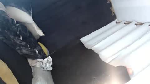 Snapshot of majestic_princesslei chatting on January 12, 7:11 am Lei online show from January 12, 7:11 am