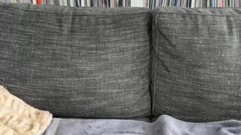 majortazer online show from December 3, 9:23 pm