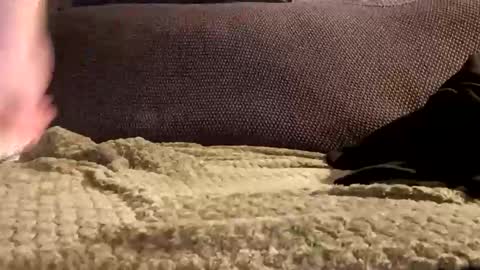 Snapshot of mako998843 chatting on January 6, 10:01 pm mako998843 online show from January 6, 10:01 pm