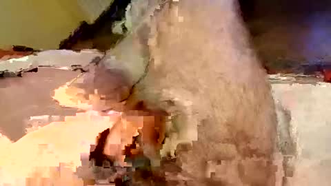 Snapshot of mako998843 chatting on February 15, 7:32 pm mako998843 online show from February 15, 7:32 pm