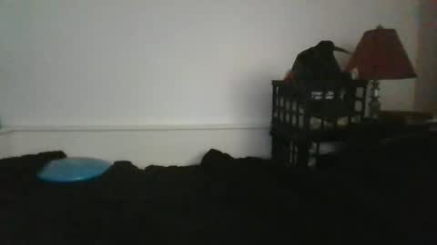 CommandbondageNipples bondage kink submissive lovense slave wgear. modequiethvyBondage If Password goldfish online show from May 31, 12:23 pm