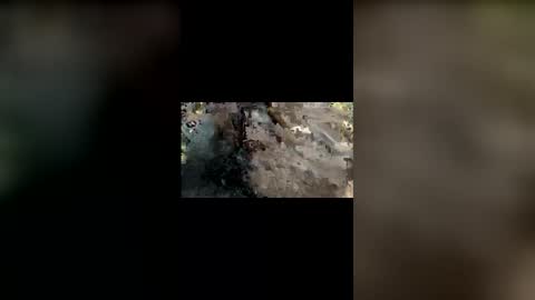 Snapshot of mallubulldick chatting on November 25, 8:42 pm Mallubull online show from November 25, 8:42 pm