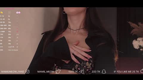 Snapshot of mamiemeow chatting on January 29, 3:58 pm Your Miss Alice online show from January 29, 3:58 pm