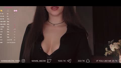 Snapshot of mamiemeow chatting on January 31, 10:42 am Your Miss Alice online show from January 31, 10:42 am