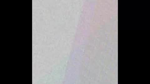 manatee bear online show from September 17, 3:08 am