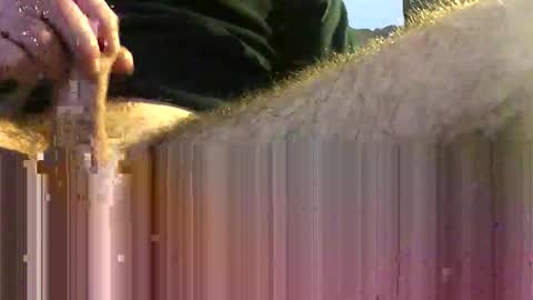 manitsdan online show from November 2, 4:31 pm